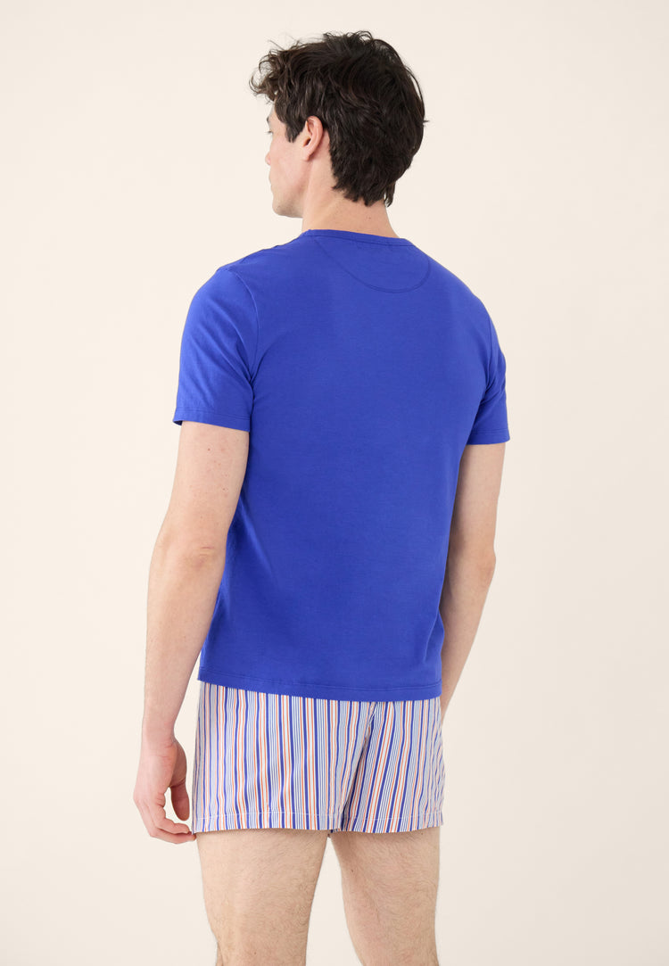 Chris Dazzling Blue Stripe Poppy Pack - Le Slip Français - 3